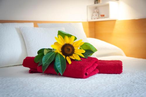 Apartman Agata