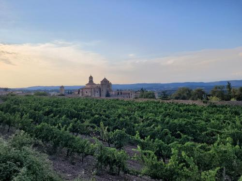 an old building in the middle of a field of grapes at Hostatgeria de Poblet in Poblet