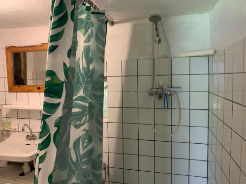 une salle de bain avec douche et lavabo dans l'établissement Maison L’Atelier, à Thollet