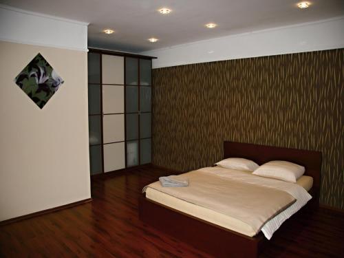 1 dormitorio con 1 cama grande en una habitación en Apartmán Dr. Engla, en Karlovy Vary