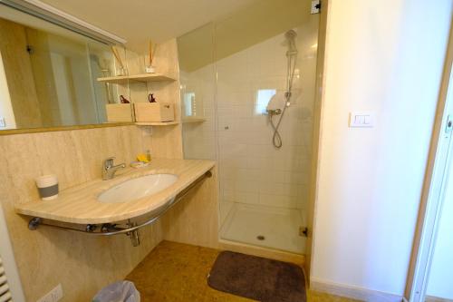 ein Bad mit einem Waschbecken und einer Dusche in der Unterkunft Sotto la luna Casa in campagna in Castel Bolognese