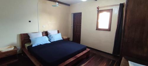 a bedroom with a bed with blue sheets and a window at Villa Nature in Toliara