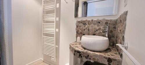 ein Badezimmer mit einem Spülbecken auf der Theke in der Unterkunft Little Suite - Suzanne in Lille