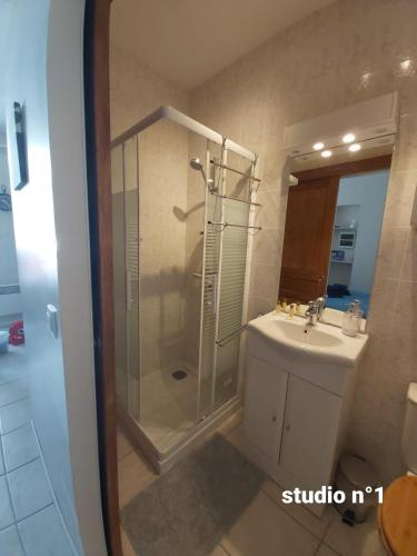une salle de bain avec douche et lavabo dans l'établissement Appartements Danciu, à Jonzac