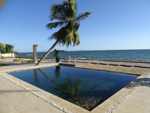 a swimming pool next to the ocean with a palm tree at Beach Loft in Nosy Be