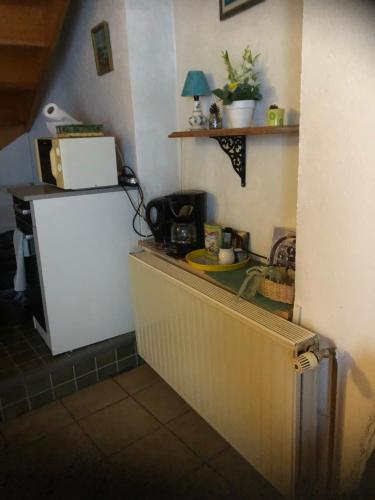 a kitchen with a refrigerator and a counter top at Chambre spacieuse dans joli village alsacien in Châtenois