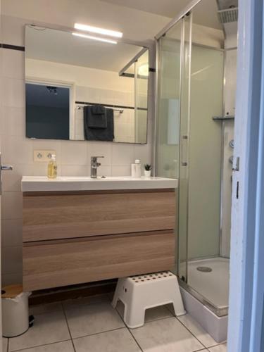 Kúpeľňa v ubytovaní Appartement à 50 mètres de la Plage des Estagnots à Seignosse, Landes