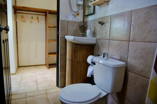 a bathroom with a toilet and a sink at TERMINAL VERDE PRIVATE APARTMENTS NEAR AIRPORT 24h SELF CHECK IN in Concepción