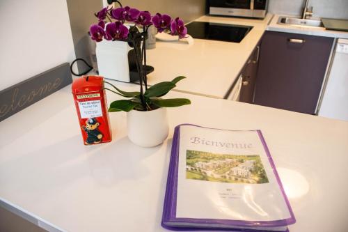 a book on a counter next to a vase with purple flowers at Sweet apartment in front of Disneyland's castel in Montévrain