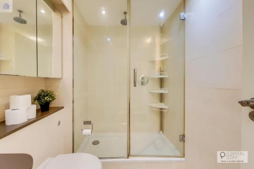 ロンドンにあるTwo Bedroom Apartment - London ExCeL Staysのバスルーム(ガラスドア付きのシャワー付)