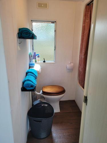 un piccolo bagno con servizi igienici e finestra di Eexter bosparel caravan 222 a Eext