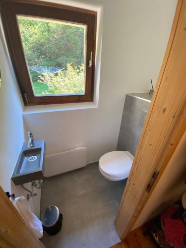 a bathroom with a toilet and a window at Appartement Rosa in Patergassen