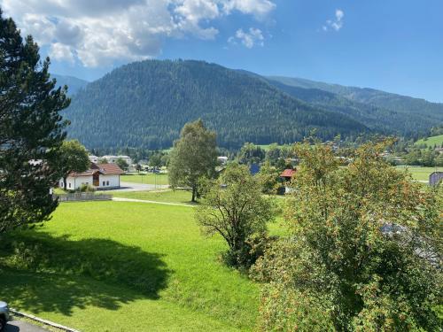 a green field with trees and mountains in the background at Appartement Rosa in Patergassen