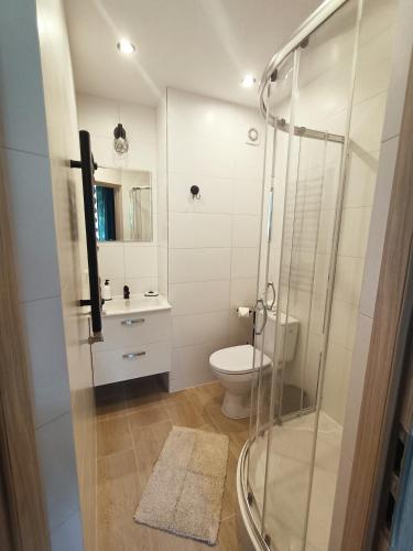 uma casa de banho com um WC e uma cabina de duche em vidro. em Pokoje za Basztą em Kazimierz Dolny