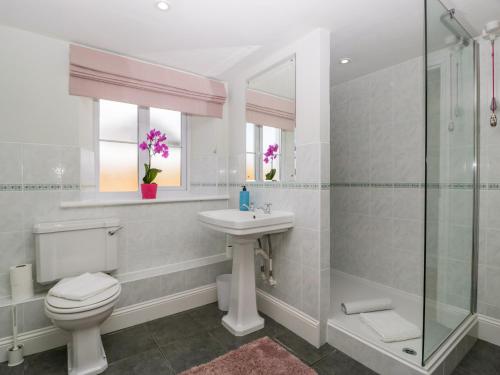 a bathroom with a toilet and a sink and a shower at Somerset House in Bridgwater