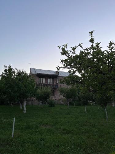 Apricot Tree B&B – Photos 2