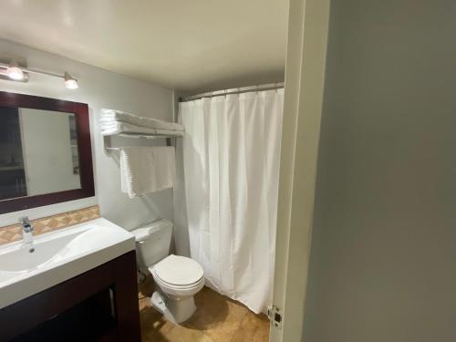 a bathroom with a toilet and a sink and a mirror at Beachfront condo in Miami! in Sunny Isles Beach