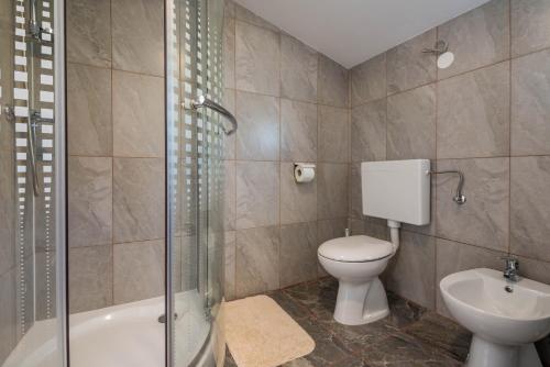 łazienka z toaletą, umywalką i prysznicem w obiekcie Apartment Radeki Glavica 112b w mieście Loborika