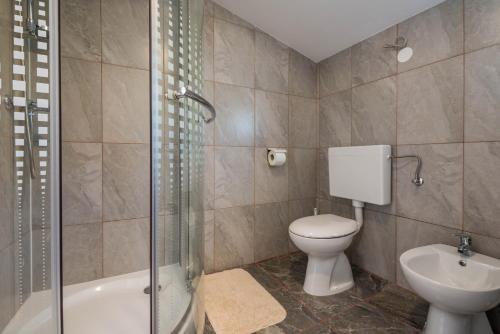 a bathroom with a toilet and a sink and a shower at Apartment Radeki Glavica 112b in Loborika