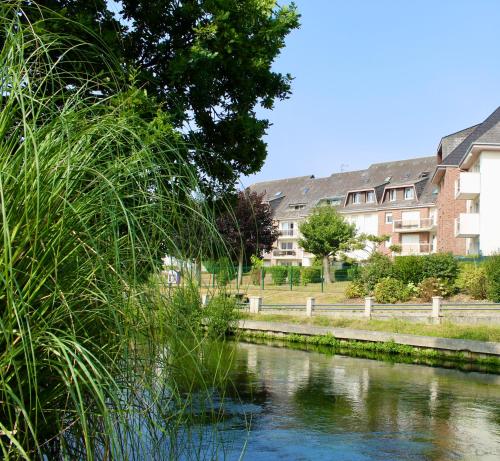 ウーにあるStudio Capucine - Centre ville - Jolie vue - Cosyの背景の高い芝生の川