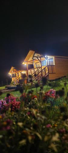 a house with lights on in a field of flowers at Baltina Parc Transfagarasan in Curtea de Argeş