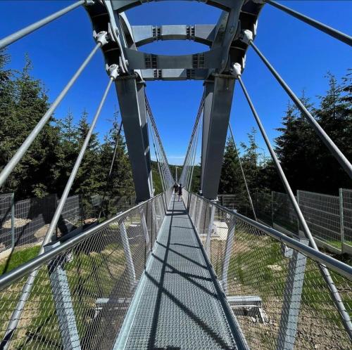 a view from the top of a suspension bridge at Prima Apartmán Dolní Morava in Dolní Morava