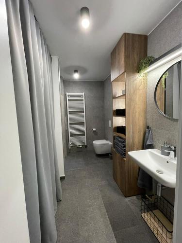 a bathroom with a sink and a toilet and a mirror at Prima Apartmán Dolní Morava in Dolní Morava