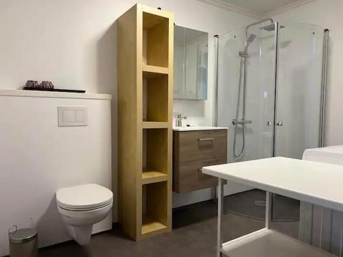 ein weißes Bad mit einem WC und einer Dusche in der Unterkunft Lekkert gjestehus med gratis parkering på stedet. in Levanger