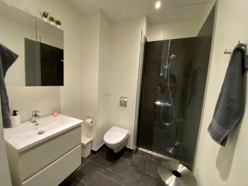 uma casa de banho com um chuveiro, um WC e um lavatório. em Central Apartment with Panorama Rooftop & Free Parking em Arhus