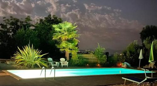 a swimming pool at night with a palm tree in the background at Casale di Maro in Monte Giberto