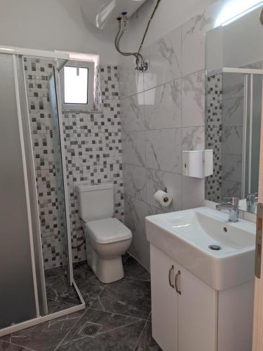 La salle de bains est pourvue de toilettes, d'un lavabo et d'une douche. dans l'établissement Alex apartment, à Saranda