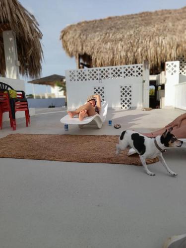 アルボレテスにあるEl Faro Hostelのギャラリーの写真