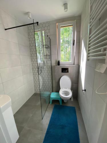 La salle de bains est pourvue d'une douche et de toilettes avec un tapis bleu. dans l'établissement Pod Brzozą, à Łuka