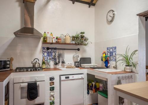 a kitchen with a stove and a counter top at Vista Del Drago in Icod de los Vinos
