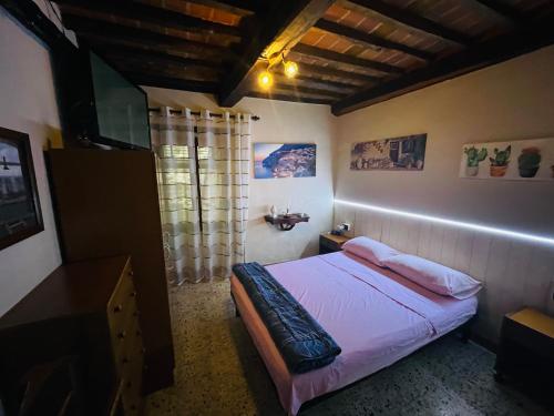 Rustico San Jacopo في Gallicano: غرفة نوم فيها سرير وتلفزيون