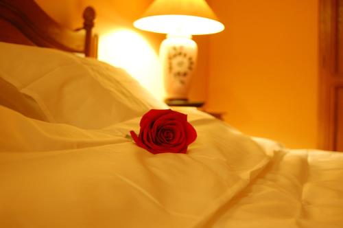 a red rose sitting on top of a white bed at Bucharest Boutique Accommodation by Hotels in Bucharest