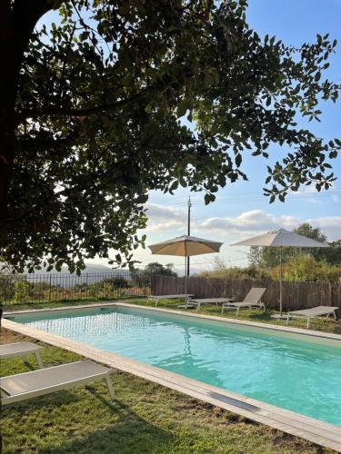 a swimming pool in a yard with two umbrellas at Résidence Casarella Lama in Lama