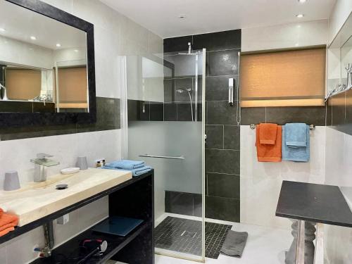 uma casa de banho com um chuveiro, um lavatório e um espelho. em Résidence Adam et Eve em Orient Bay