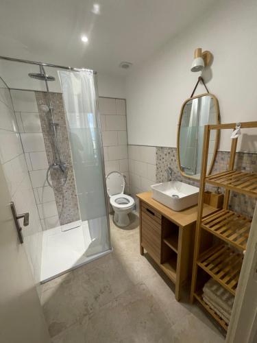 a bathroom with a shower and a toilet and a sink at BABILOC Bohème Appartement in Riez