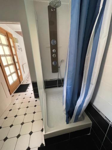 y baño con ducha y cortina azul. en Agréable appartement dans une maison en Saint-Denis