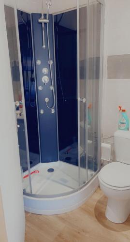 La salle de bains est pourvue d'une douche et de toilettes. dans l'établissement Clem, à Calais