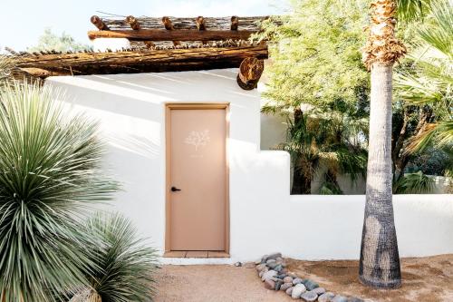 a white house with a door and palm trees at The JTH Tucson in Tucson