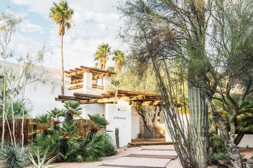 um resort com palmeiras e um edifício em The JTH Tucson em Tucson