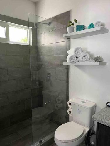 a bathroom with a shower with a toilet and a glass door at Lapa Lodge G1 in Jacó