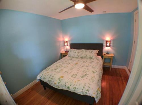 a bedroom with a bed with blue walls and a ceiling at Harper Two Bedroom House in Historic Loveland in Loveland