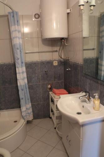 a bathroom with a sink and a toilet and a shower at Apartments with parking space Basina, Hvar - 12420 in Vrbanj