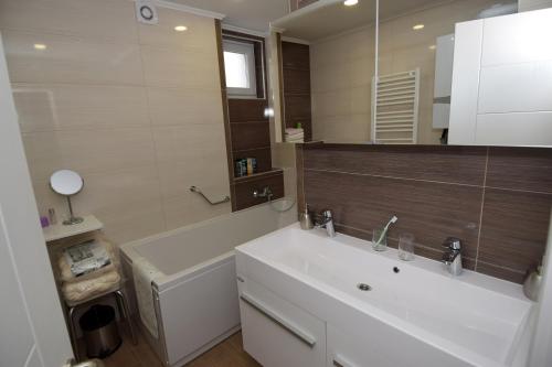 a bathroom with a sink and a large mirror at Apartments with a parking space Zagreb - 12573 in Zagreb