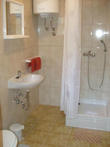 a bathroom with a shower and a sink and a toilet at Apartments with a parking space Slano, Dubrovnik - 12576 in Slano