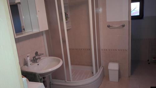 ein Bad mit einer Dusche und einem Waschbecken in der Unterkunft Apartments with a parking space Savar, Dugi otok - 12762 in Brbinj
