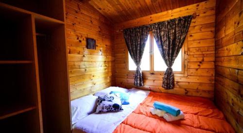 Seaside secluded apartments Biograd na Moru, Biograd - 12827